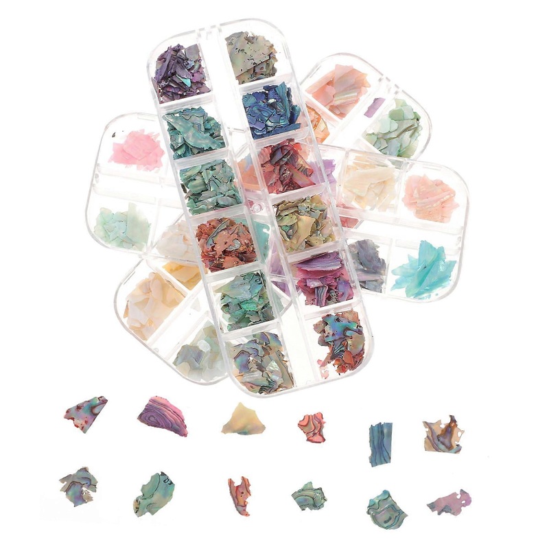 12 Grids Shell Nail Pieces Set Sea Shell Nail Flakes for Women  DIY Manicure
